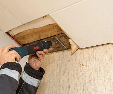 Discount Mold Removal Inspection and Testing