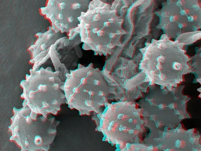 Discount Mold Removal Inspection and Testing Picture 4