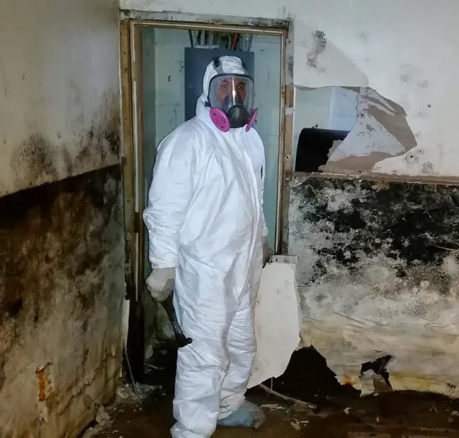 Discount Mold Removal Inspection and Testing Picture 3