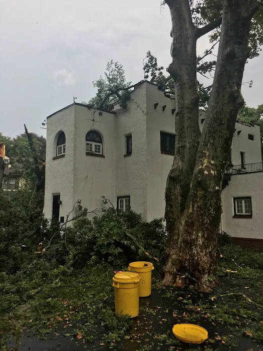 Funari Public Adjusters Picture 4