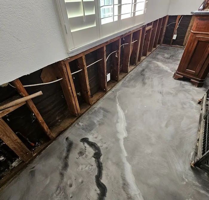 Master Recovery Restoration Picture 6