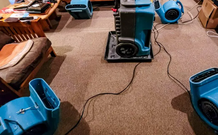 Paul Davis Restoration & Remodeling Picture 2