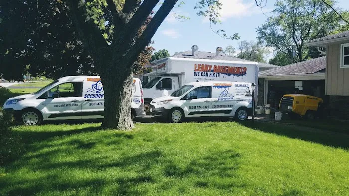 Seepage Seal Picture 5