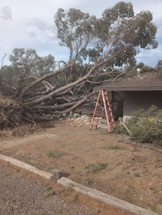 Legacy Restoration Picture 10