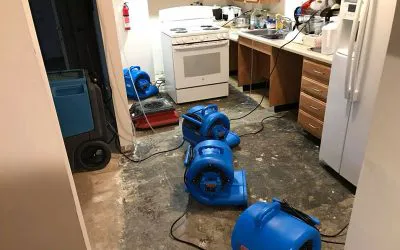 Western Restoration AZ Picture 4