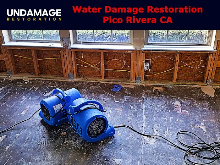 Undamage Restoration Picture 7