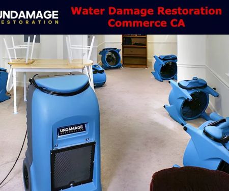 Undamage Restoration