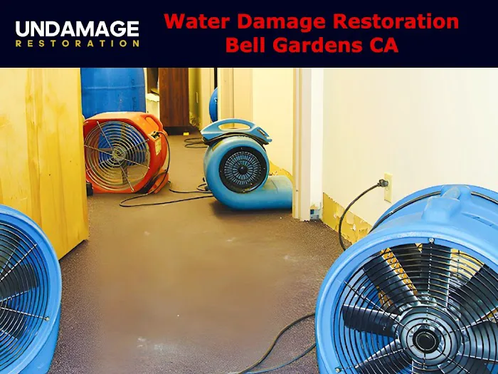 Undamage Restoration Picture 6