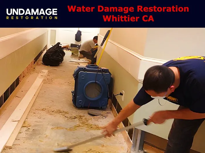 Undamage Restoration Picture 3