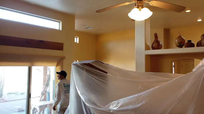 Precision Painting Picture 10