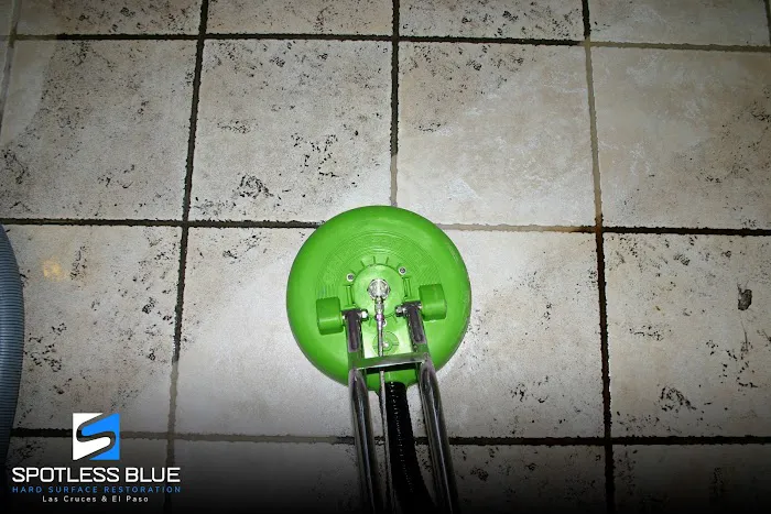 Spotless Blue Picture 2