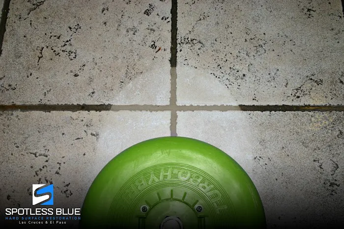 Spotless Blue Picture 3