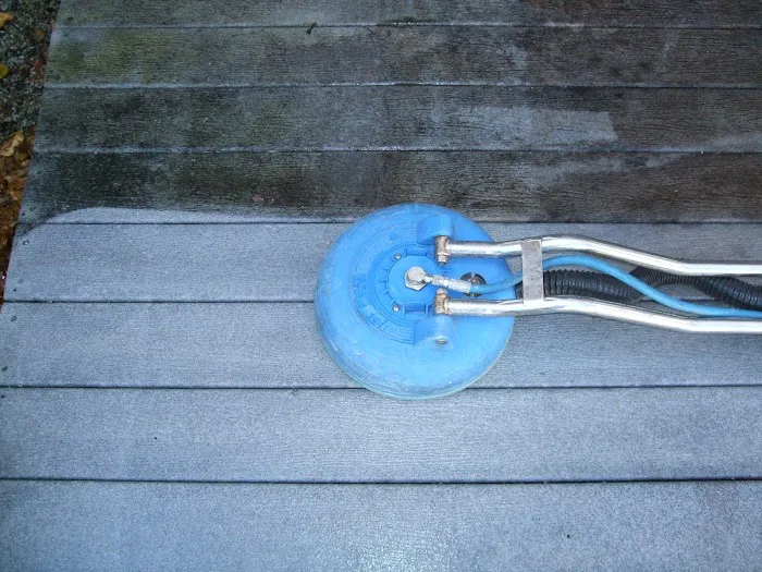 Spotless Blue Picture 6