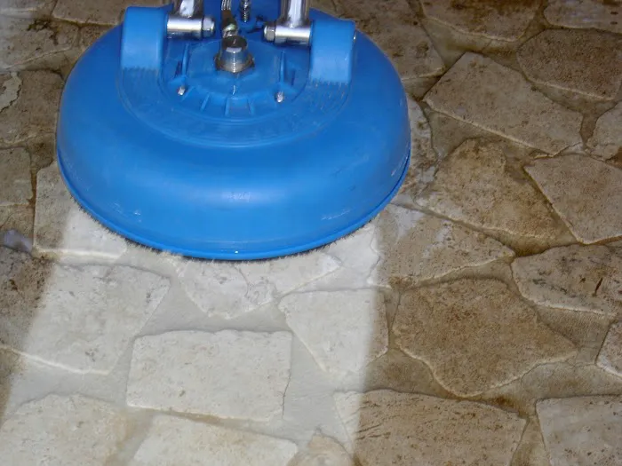 Spotless Blue Picture 1