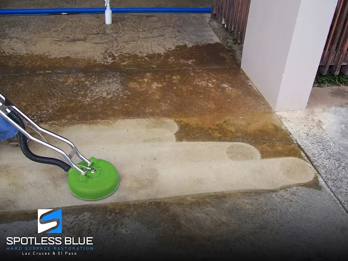 Spotless Blue Picture 9