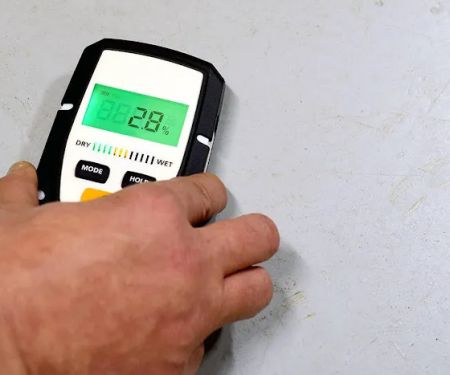 Mold Remediation of Orlando