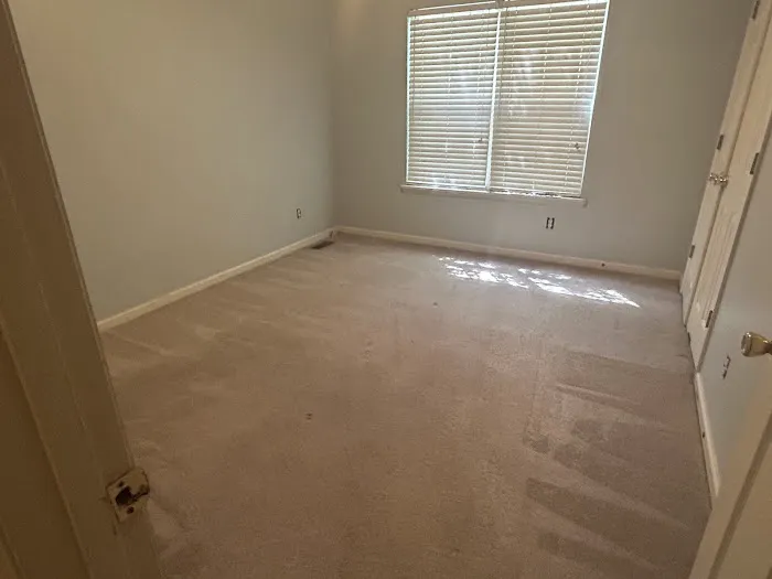 Stanley Steemer Picture 2