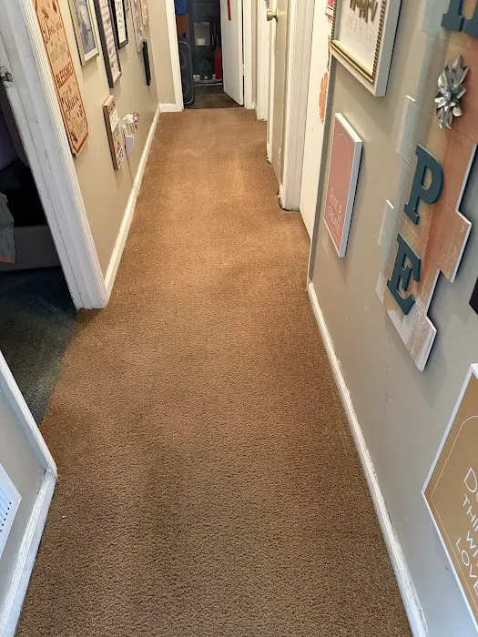 Stanley Steemer Picture 7