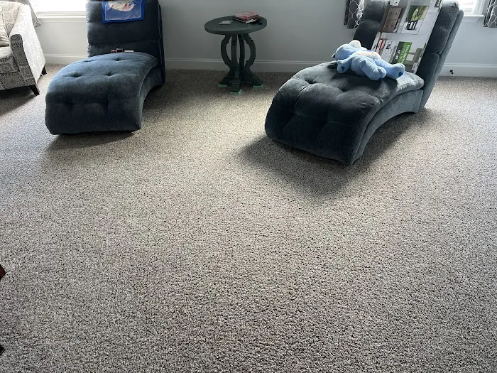 Stanley Steemer Picture 5