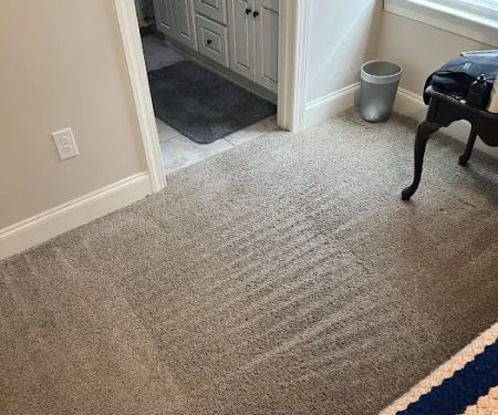 Action Carpet Cleaning