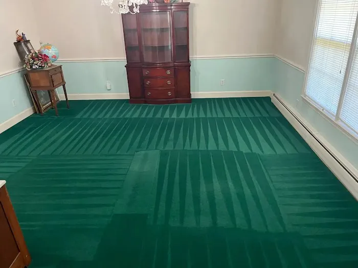 Action Carpet Cleaning Picture 6