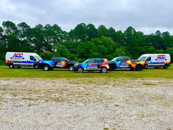 ACC Restoration Picture 6