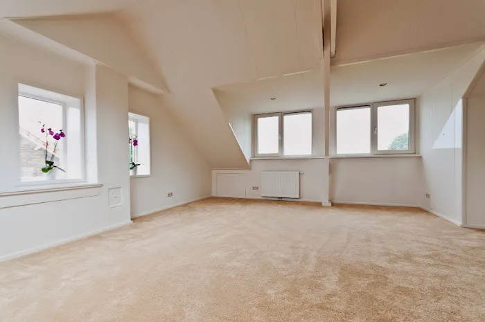 ALLPRO Carpet Cleaning & Water Mitigation Picture 3