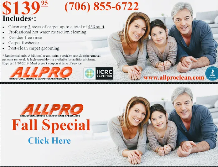 ALLPRO Carpet Cleaning & Water Mitigation Picture 1