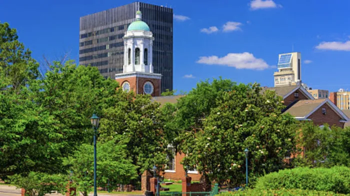 ALLPRO Carpet Cleaning & Water Mitigation Picture 6