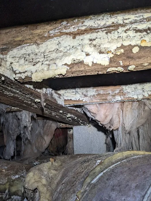 Crawlspace Medic of Augusta Picture 8