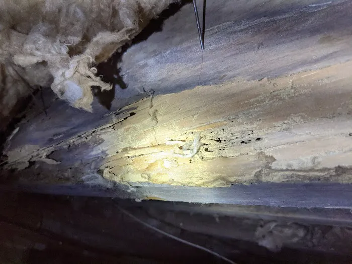 Crawlspace Medic of Augusta Picture 5