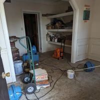 Fields Restoration ico