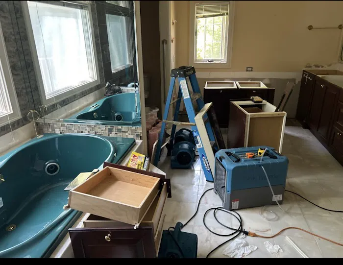 Fields Restoration Picture 4