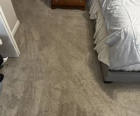 Universal Carpet Cleaning