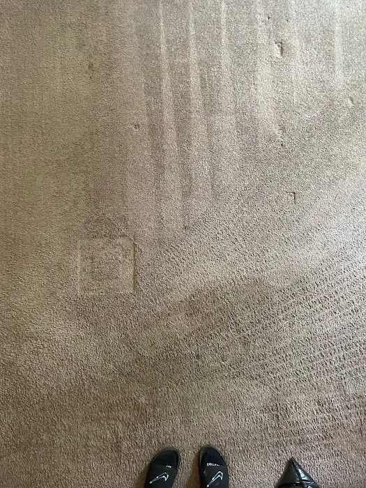 Universal Carpet Cleaning Picture 2