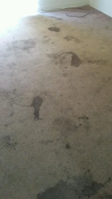 Duraclean Systems Inc., of North Augusta Inc. Picture 4