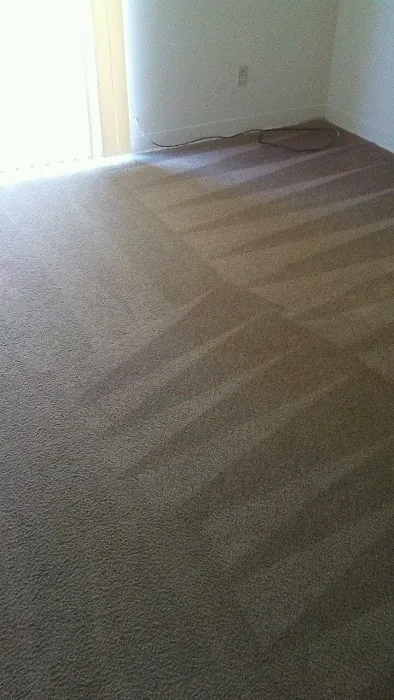 Duraclean Systems Inc., of North Augusta Inc. Picture 2