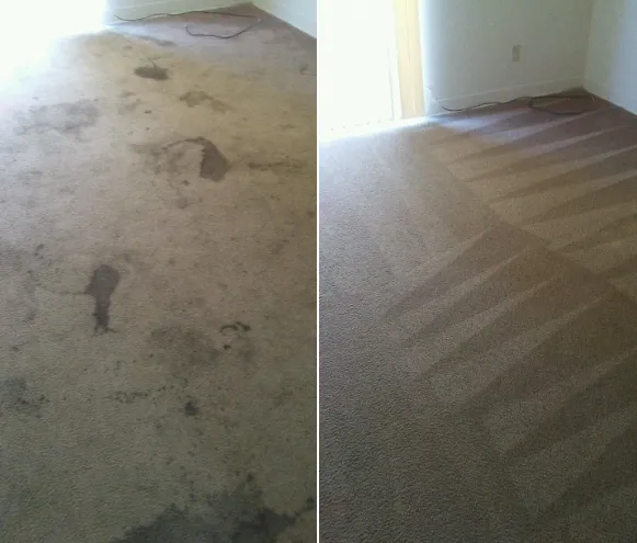 Duraclean Systems Inc., of North Augusta Inc. Picture 5