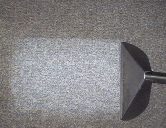 Superior Carpet Cleaning Picture 5