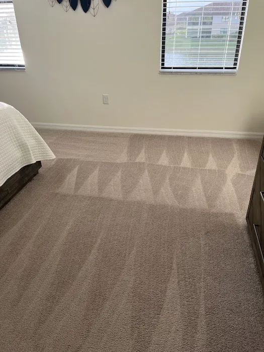 Superior Carpet Cleaning Picture 2