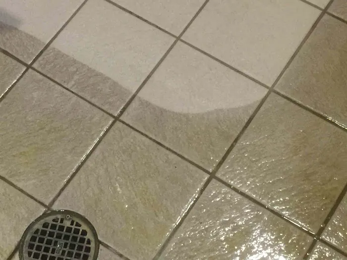 Maximum Carpet & Restoration Picture 6