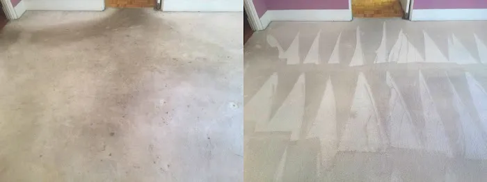 Maximum Carpet & Restoration Picture 8