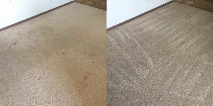 Maximum Carpet & Restoration Picture 7