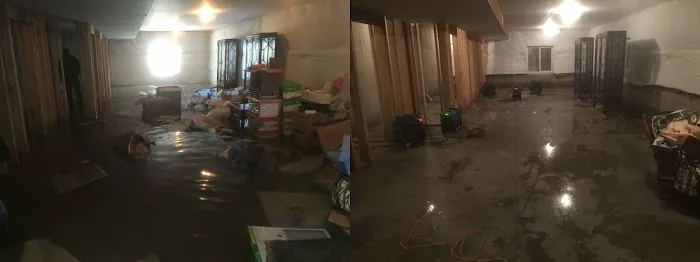 Maximum Carpet & Restoration Picture 3