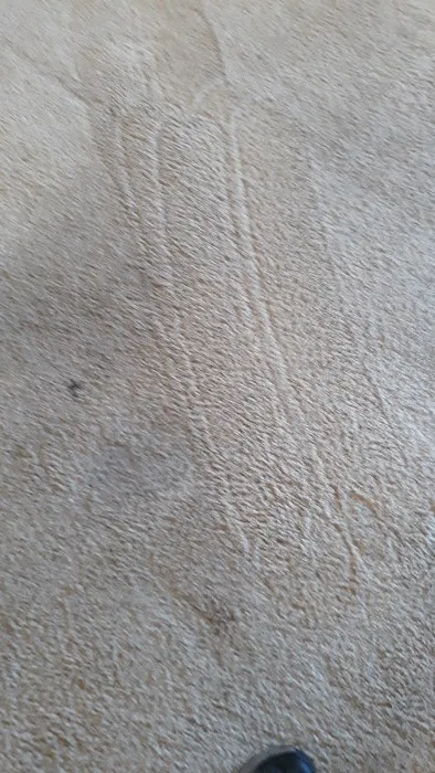 Steampower Inc. Picture 3