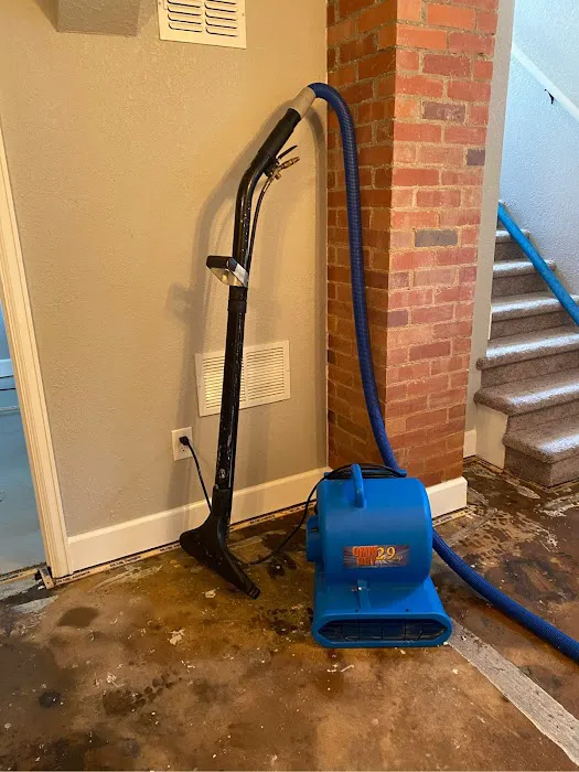 Service First Carpet Cleaning Picture 1