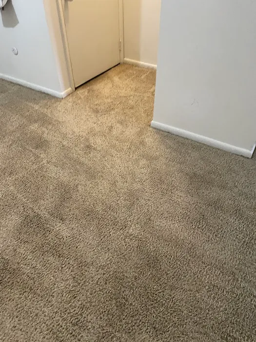 Service First Carpet Cleaning Picture 3