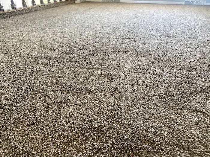 Service First Carpet Cleaning Picture 2