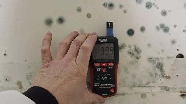 EcoTreck Environmental Inc Steamboat Picture 4