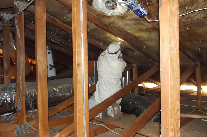 EcoTreck Environmental Inc Steamboat Picture 2